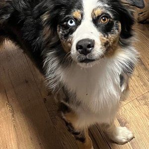 Meet your Posher, Braden